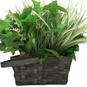 xtreme-life-plant-2-1