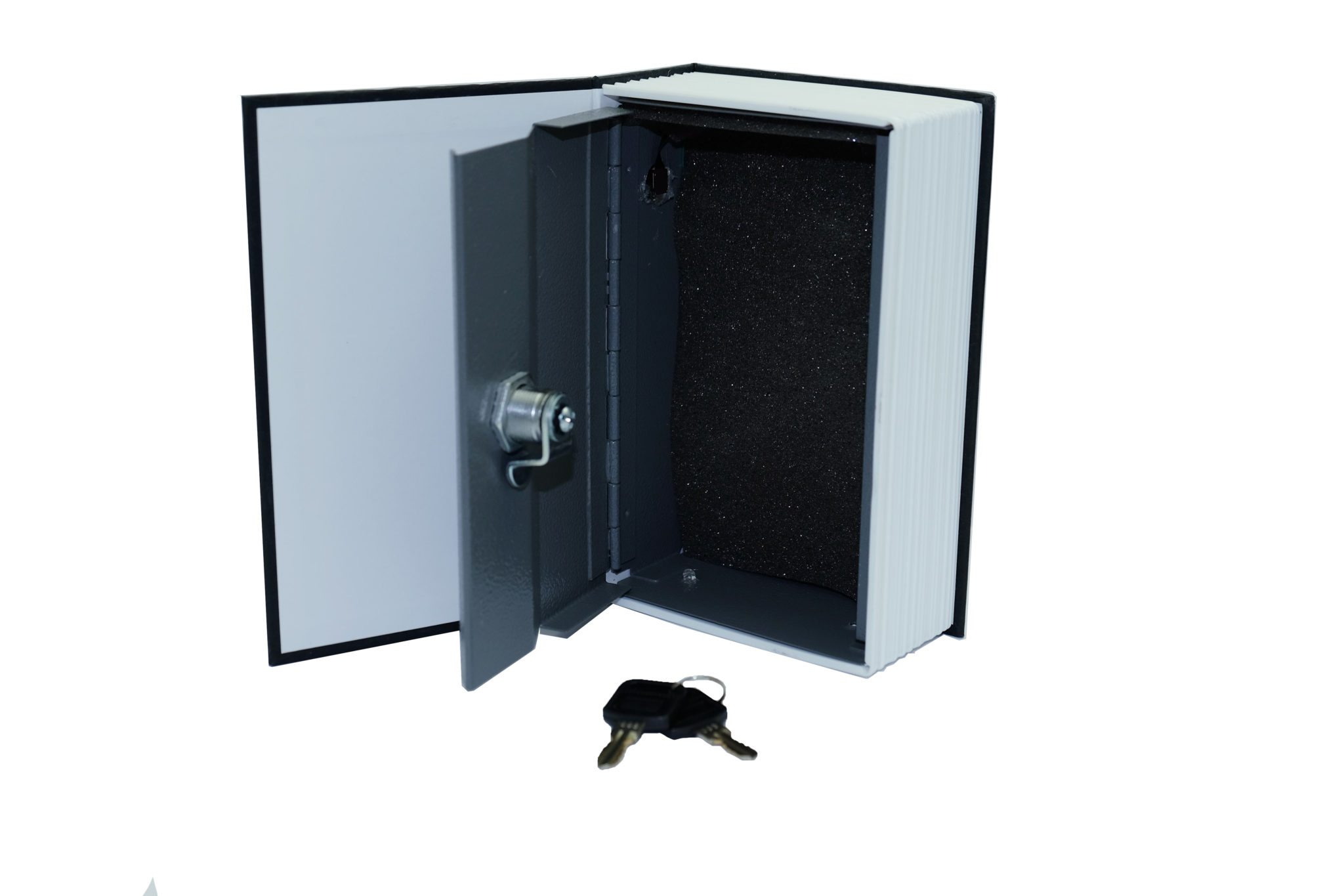 BB2RBDictionary Dictionary Hidden Camera - Image 7