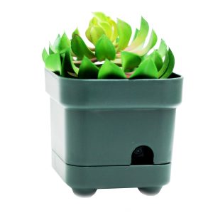 OmniPlant: Premium OmniEye Plant with Optional AC Power